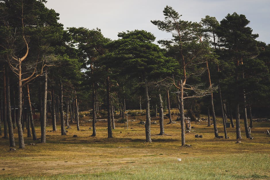 Dauer der Lieferung eines Pakets von Schweden nach Deutschland